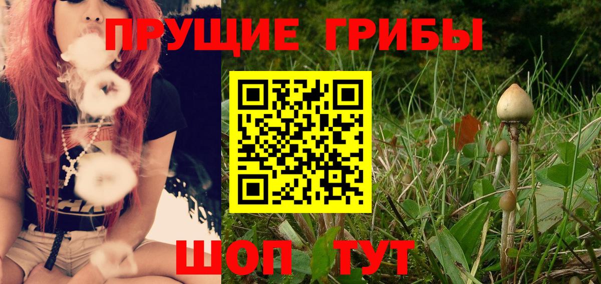 Ивантеевка  Псилоцибиновые грибы Psilocybe  Вход с VPN 